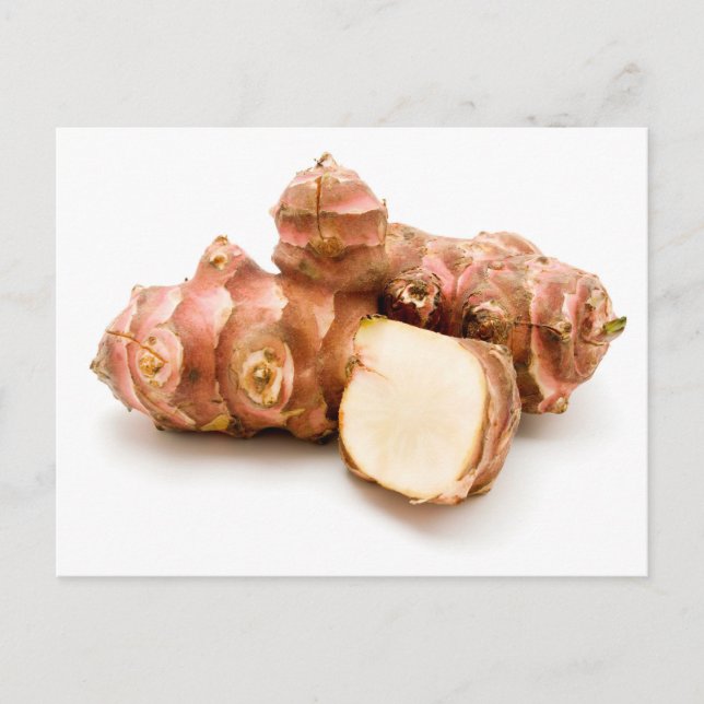 Cartão Postal tupinambos (Frente)