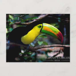 Cartão Postal Turiano em Belize