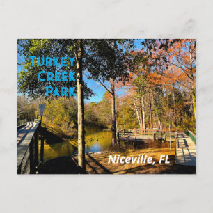 Cartão Postal Turkey Creek Niceville Flórida