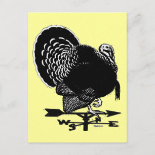 Cartão Postal Turkey Weathervane