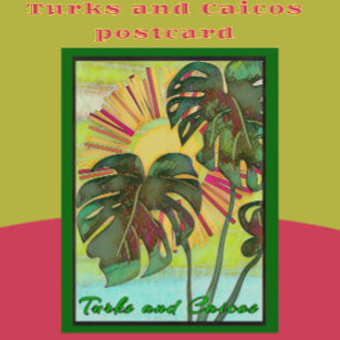 Cartão Postal Turks e Caicos - Arte Tropical do Paraíso