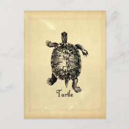 CARTÃO POSTAL TURLA VINTAGEM