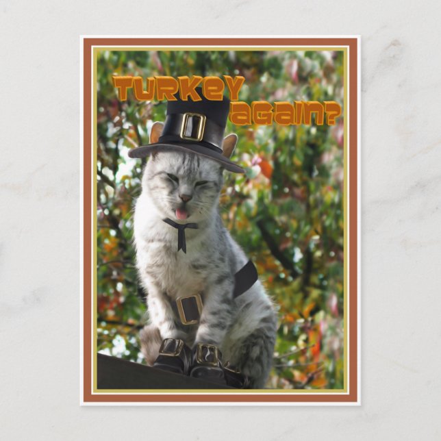 Cartão Postal TURQUIA DE NOVO? Pilgrim Cat (Frente)