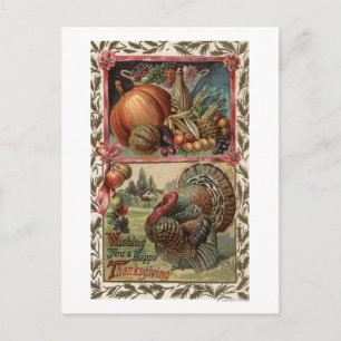 Cartão Postal Turquia e produção nº 2