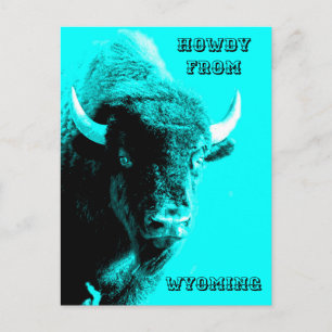 Cartão Postal Turquoise Blue Buffalo Bull Bison Howdy De