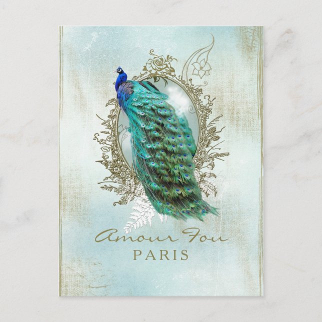 Cartão Postal Turquoise Shabby Peacock - Cartão-postal (Frente)