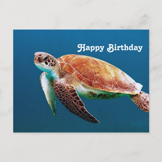 Cartão Postal Turtle Blue Water Sea Photo Birthday (Frente)