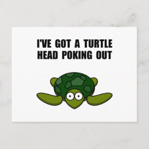 Cartão Postal Turtle Head Surgindo