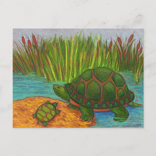 Cartão Postal Turtle Pals (Frente)