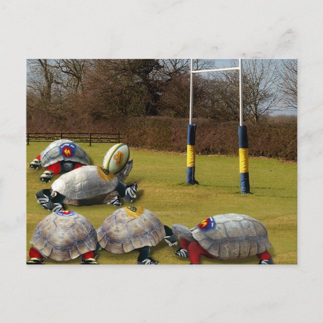 Cartão Postal Turtle Rugby (Frente)