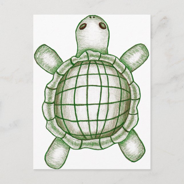 Cartão Postal Turtle Sketch (Frente)