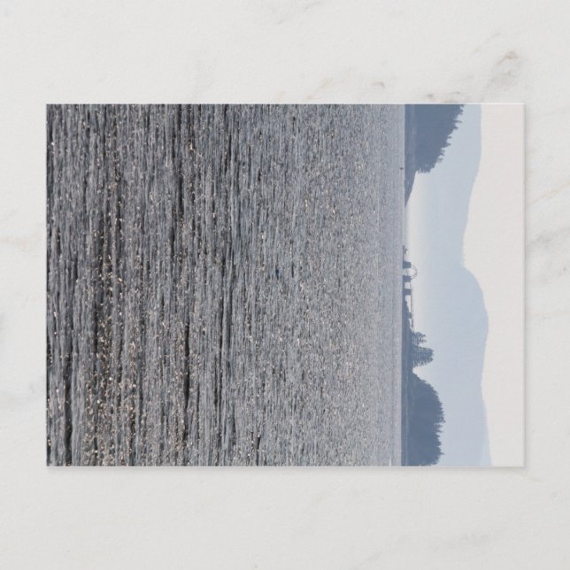 Cartão Postal Turtle, Spectacle e Monte Desert Islands, Maine (Frente)