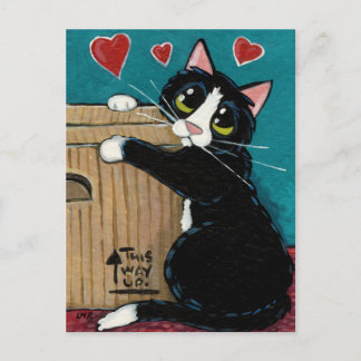 Cartão Postal Tuxedo Cat in Love with Box Postcard