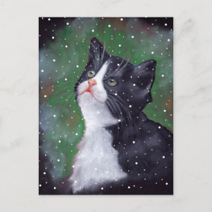 Cartão Postal Tuxedo Cat Olhando Para Blocos De Neve, Pintura