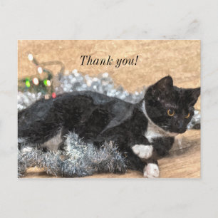 Cartão Postal Tuxedo Kitten Tinsel e Luzes Obrigado Postard