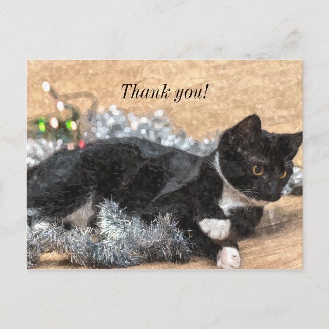 Cartão Postal Tuxedo Kitten Tinsel e Luzes Obrigado Postard (Frente)
