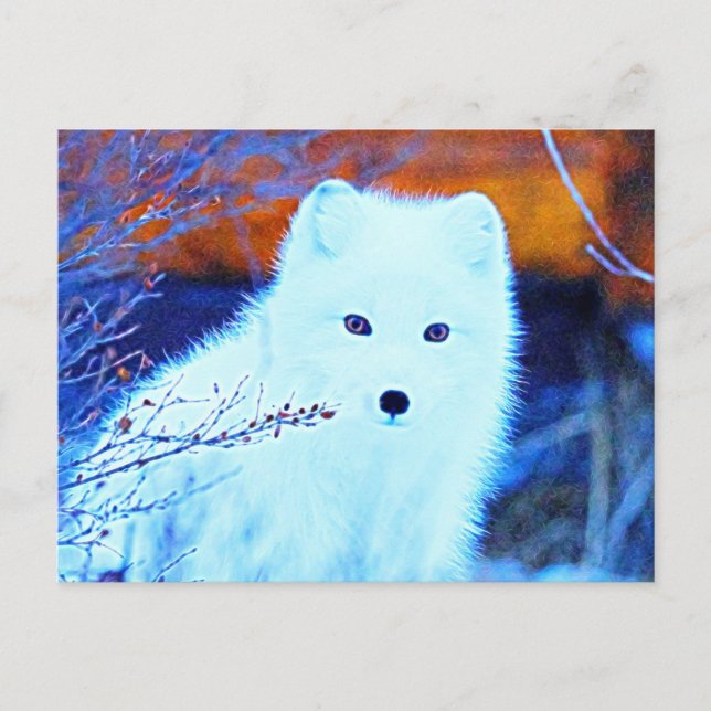 Cartão Postal *~* Twigs AP18 Snow Fox White Artic Fox (Frente)