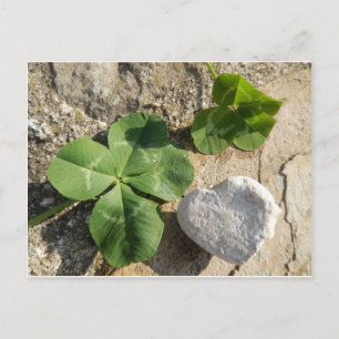 Cartão Postal Twin Four Leaf Clover Irish Sorck Rua. Dia de Patr