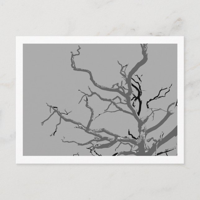 Cartão Postal Twisted (Frente)