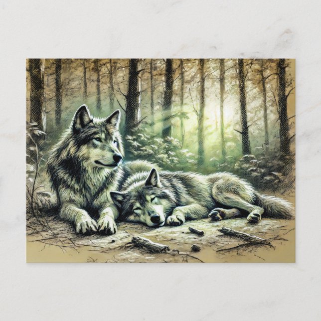 Cartão Postal Two Wolves Resting in the Forest (Frente)