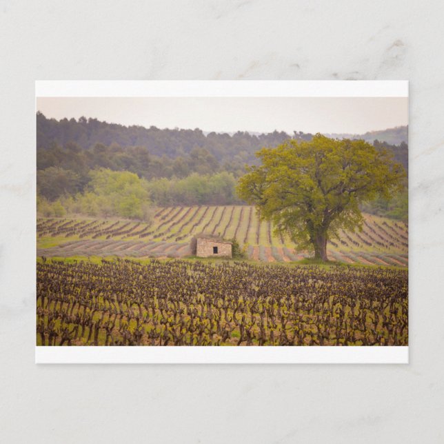 Cartão Postal Typically french (Frente)