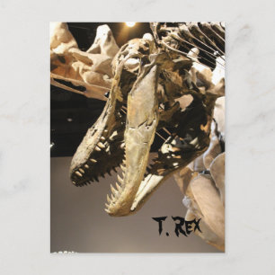 Cartão Postal Tyrannosaurus # 2