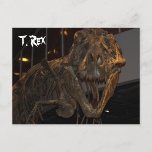 Cartão Postal Tyrannosaurus Rex # 5