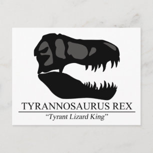 Cartão Postal Tyrannosaurus Rex Skull