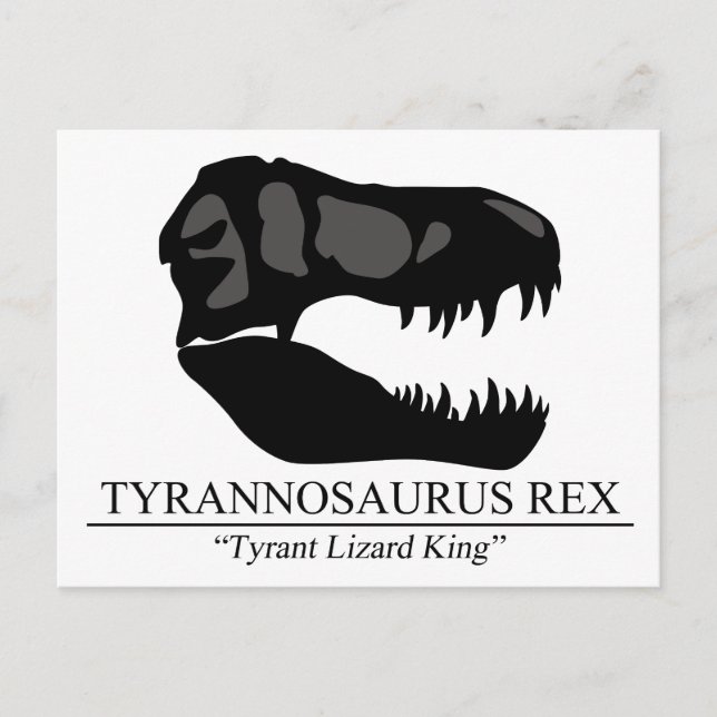 Cartão Postal Tyrannosaurus Rex Skull (Frente)
