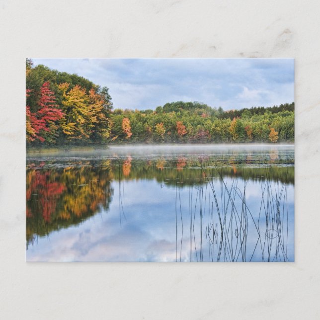 Cartão Postal U. P. Michigan Fall Reflections (Frente)