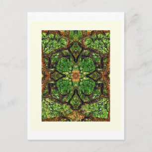 Cartão Postal UABSTRACT AMBIDEXTEROUS TREES #66, Edit G, Oil.