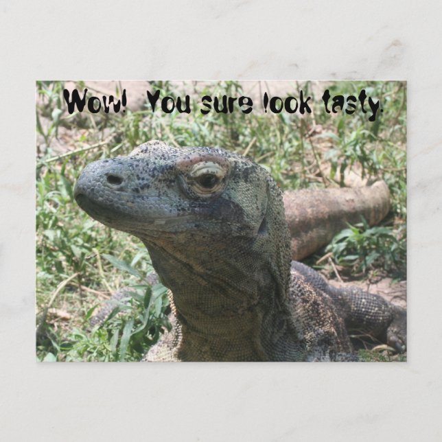 Cartão Postal Uau! Você parece saboroso. (Frente)