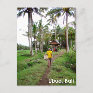 Cartão postal Ubud Bali - Indonésia - campo de arr