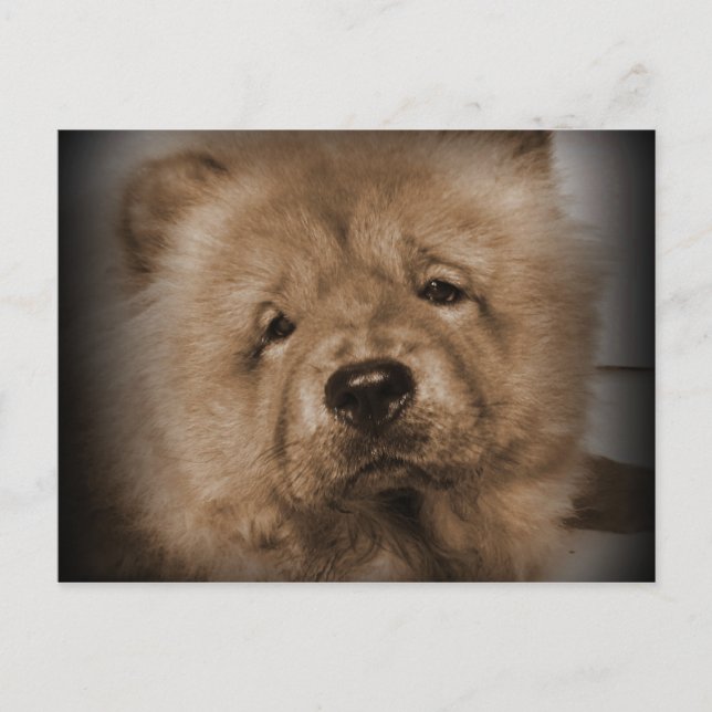 Cartão Postal Udon, Meu Bebê (Frente)