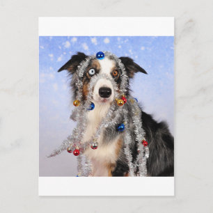 Cartão Postal Uh-oh