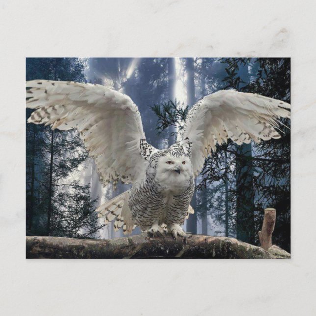 Cartão Postal uil (Frente)