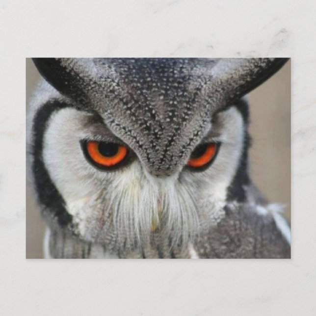 Cartão Postal uilen (Frente)