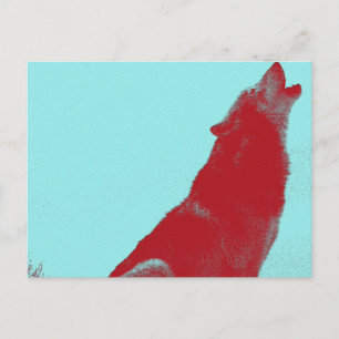 Cartão Postal Uivo de Lobo