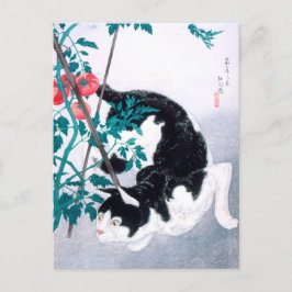 Cartão Postal Ukiyoe [komei] 02 Cat com tomateiro