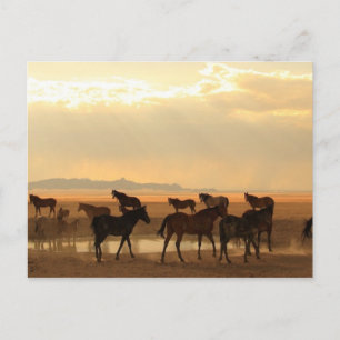 Cartão Postal Última Chamada