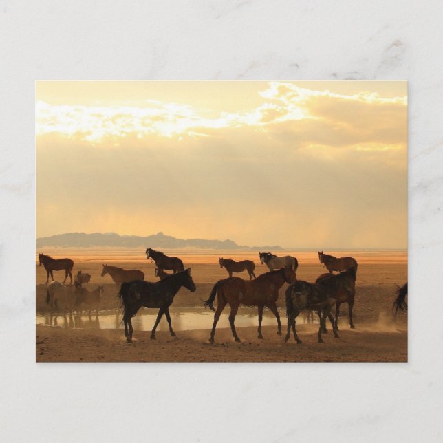 Cartão Postal Última Chamada (Frente)