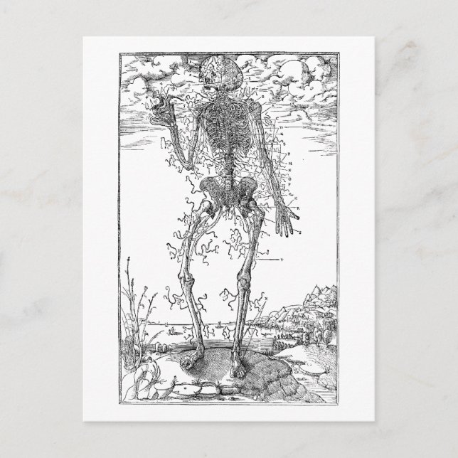 Cartão Postal Último Nervo - Esqueleto de Halloween (Frente)