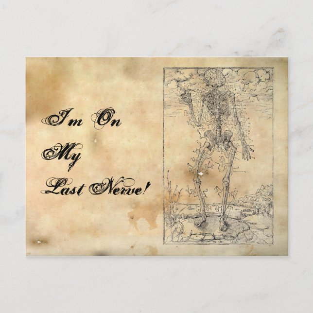 Cartão Postal Último Nervo - Esqueleto de Halloween (Frente)