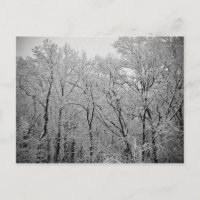 Último suspiro de inverno