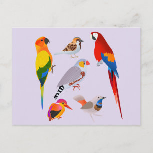 Cartão Postal Um Ajuntamento de Pássaros