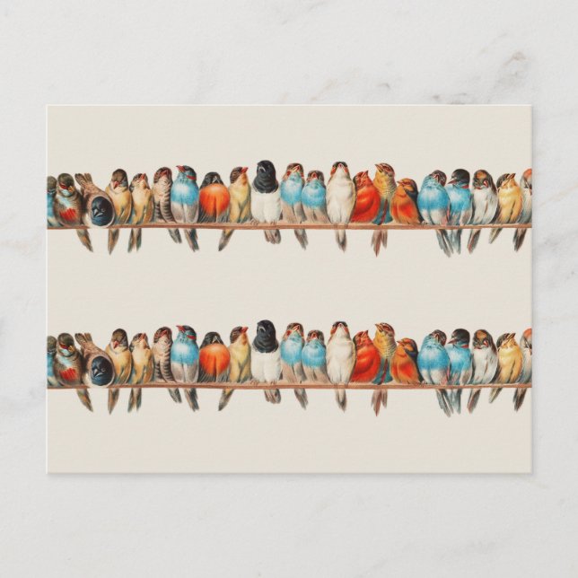 Cartão Postal Um bando de aves por Hector Giacomelli (Frente)