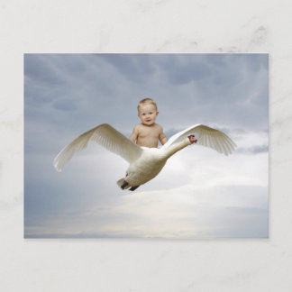 Cartão Postal Um bebê e o céu do cisne