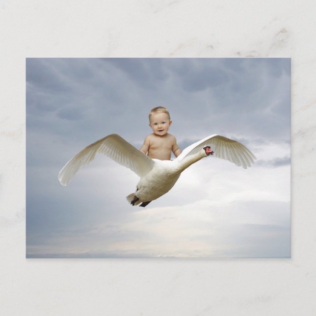 Cartão Postal Um bebê e o céu do cisne (Frente)