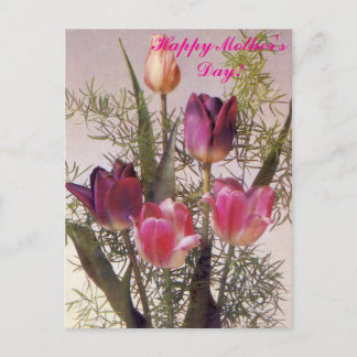 Cartão Postal Um buquê de tulipas cor-de-rosa em vários tons,Fel