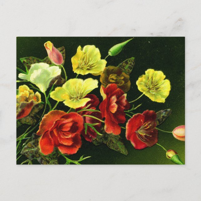 Cartão Postal Um Buquê para todos os Seasons! (Frente)